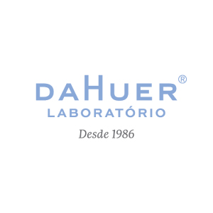GS-Logo-Dahuer